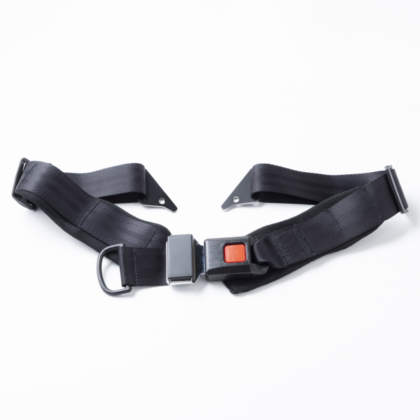 Lap Belt - Image 3