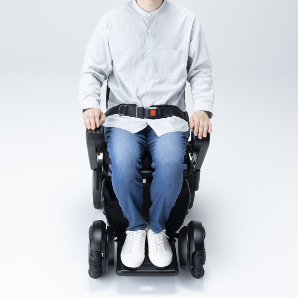 Lap Belt - Image 2