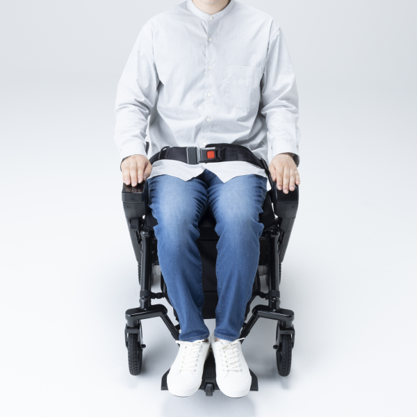 Lap Belt - Image 4